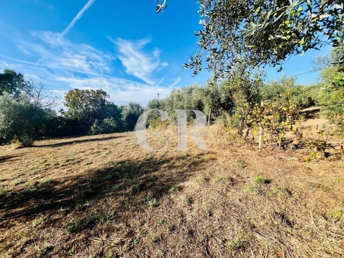 Moradia T2 para Venda em Graça Foto 38