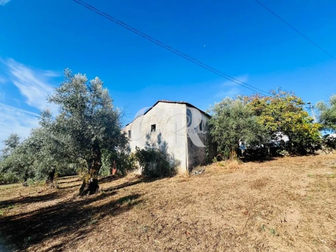 Moradia T2 para Venda em Graça Foto 30