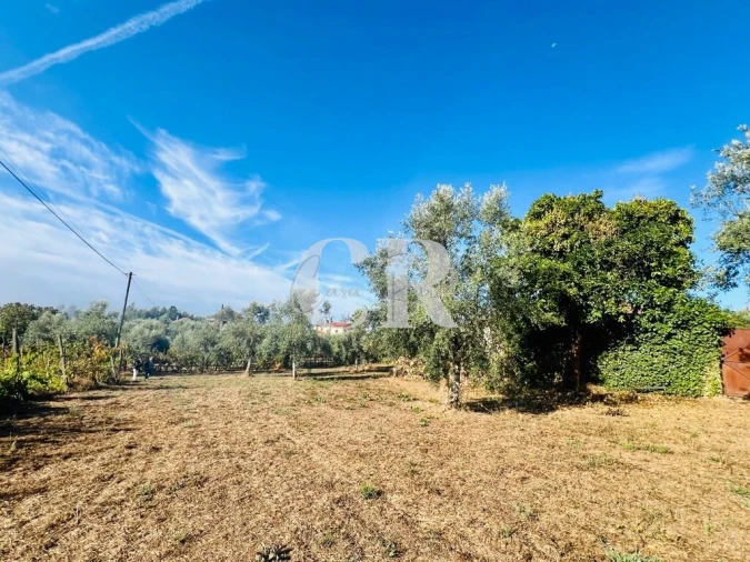 Moradia T2 para Venda em Graça Foto 33