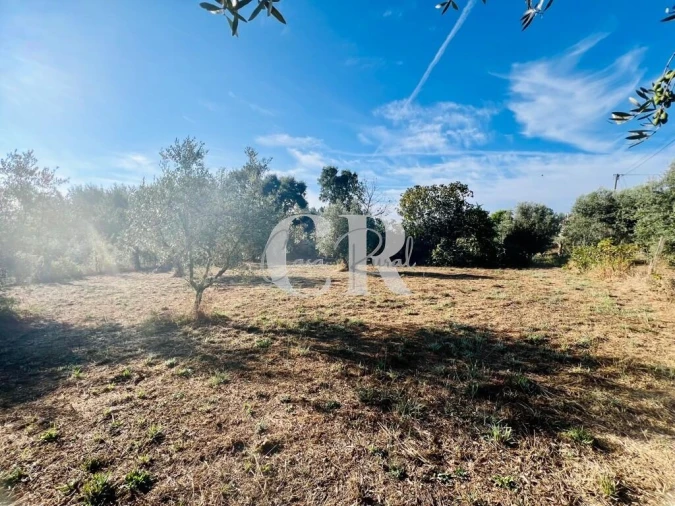 Moradia T2 para Venda em Graça Foto 39