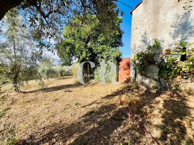 Moradia T2 para Venda em Graça Foto 29