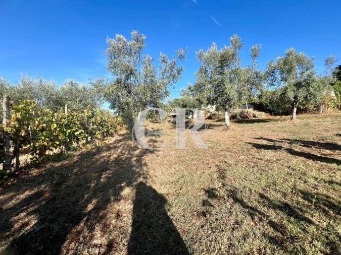 Moradia T2 para Venda em Graça Foto 37