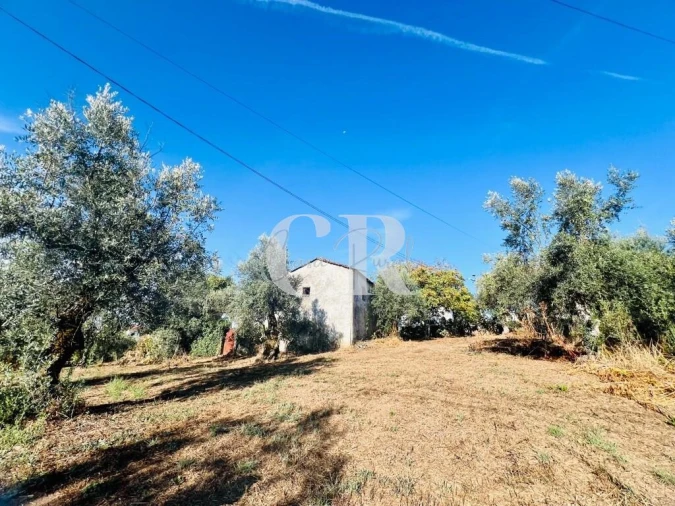 Moradia T2 para Venda em Graça Foto 31