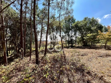 Terreno para Venda em Caldas da Rainha - Santo Onofre e Serra do Bouro
