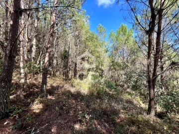 Terreno para Venda em Caldas da Rainha - Santo Onofre e Serra do Bouro