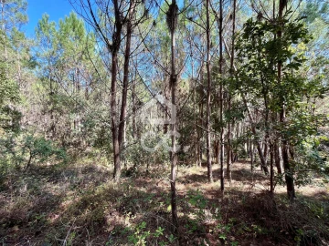Terreno para Venda em Caldas da Rainha - Santo Onofre e Serra do Bouro