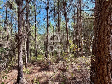 Terreno para Venda em Caldas da Rainha - Santo Onofre e Serra do Bouro