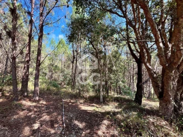 Terreno para Venda em Caldas da Rainha - Santo Onofre e Serra do Bouro