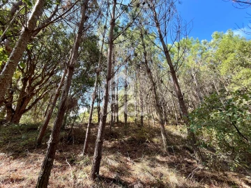 Terreno para Venda em Caldas da Rainha - Santo Onofre e Serra do Bouro