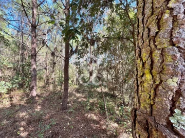 Terreno para Venda em Caldas da Rainha - Santo Onofre e Serra do Bouro