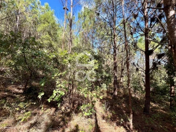 Terreno para Venda em Caldas da Rainha - Santo Onofre e Serra do Bouro