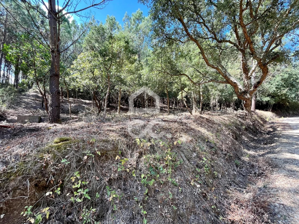 Terreno para Venda em Caldas da Rainha - Santo Onofre e Serra do Bouro Foto 14
