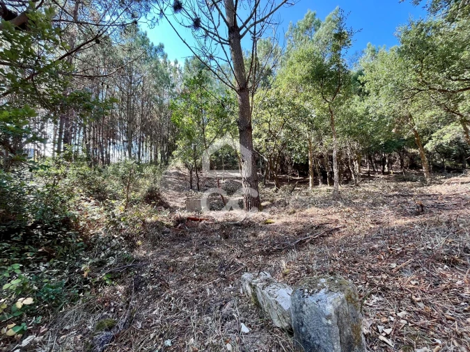 Terreno para Venda em Caldas da Rainha - Santo Onofre e Serra do Bouro Foto 16