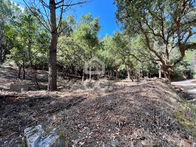Terreno para Venda em Caldas da Rainha - Santo Onofre e Serra do Bouro Foto 15