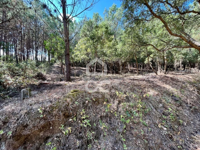 Terreno para Venda em Caldas da Rainha - Santo Onofre e Serra do Bouro Foto 13