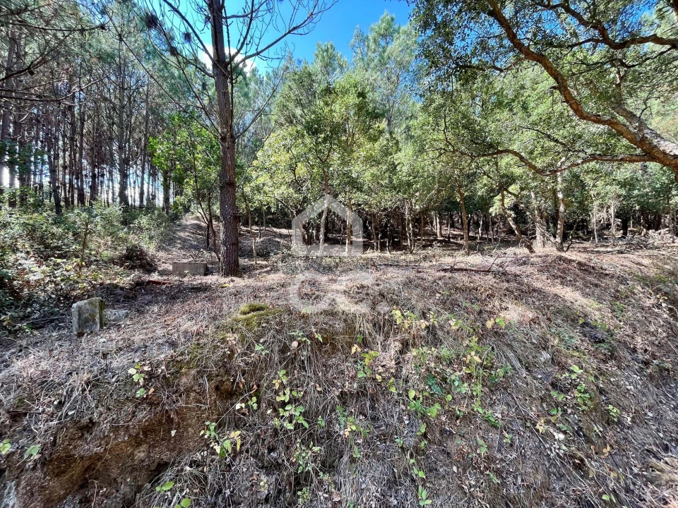 Terreno para Venda em Caldas da Rainha - Santo Onofre e Serra do Bouro Foto 13
