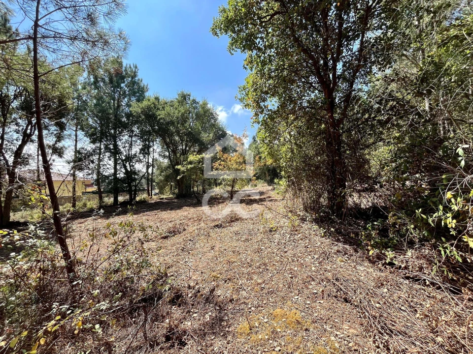 Terreno para Venda em Caldas da Rainha - Santo Onofre e Serra do Bouro Foto 11
