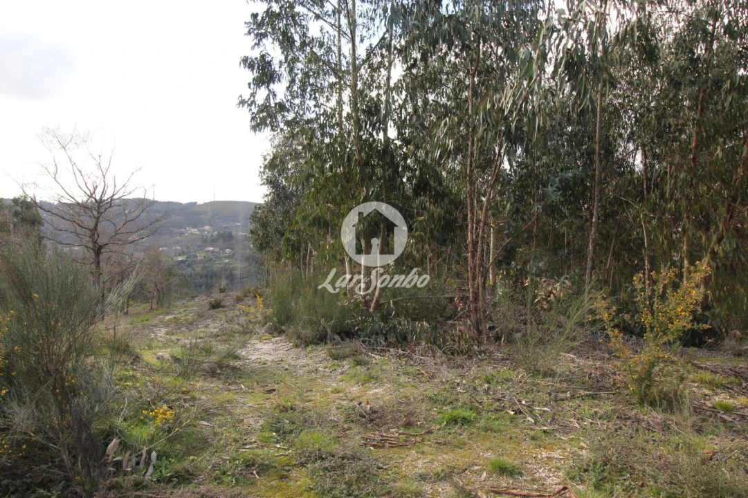 Terreno Agricola ou Rústico para Venda em Vale de Bouro Foto 19