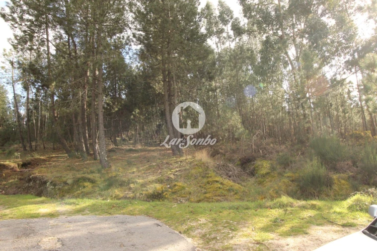 Terreno Agricola ou Rústico para Venda em Vale de Bouro Foto 1