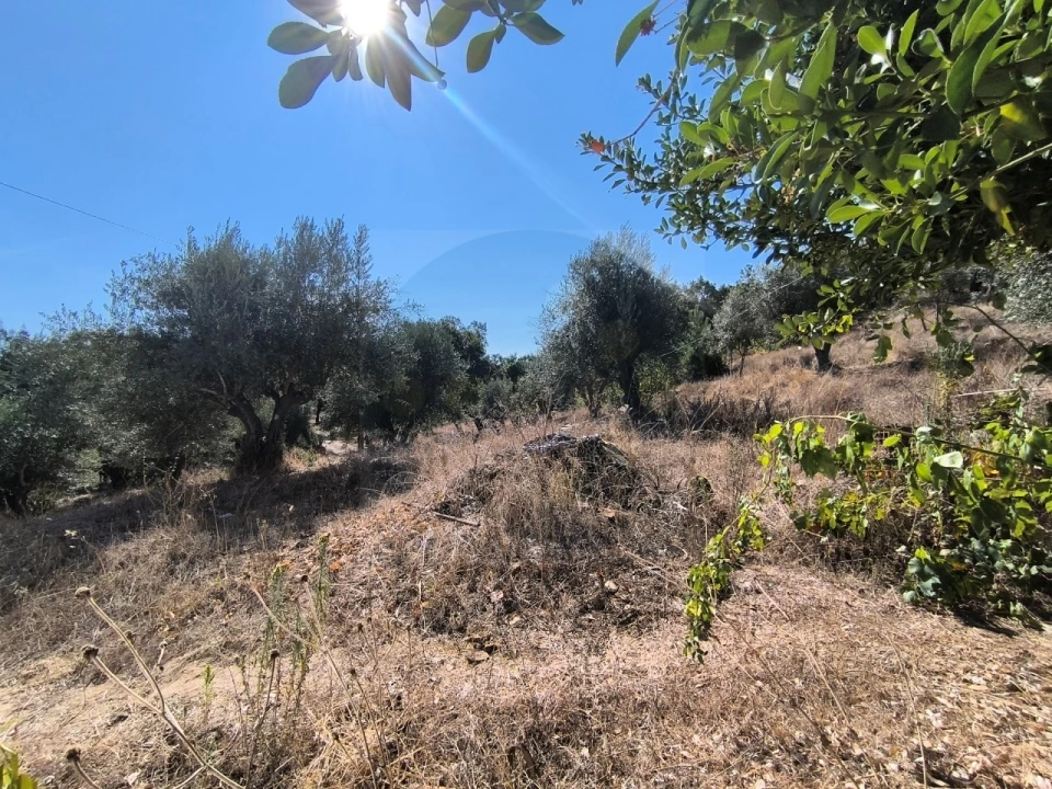 Moradia T2 para Venda em Bemposta Foto 16