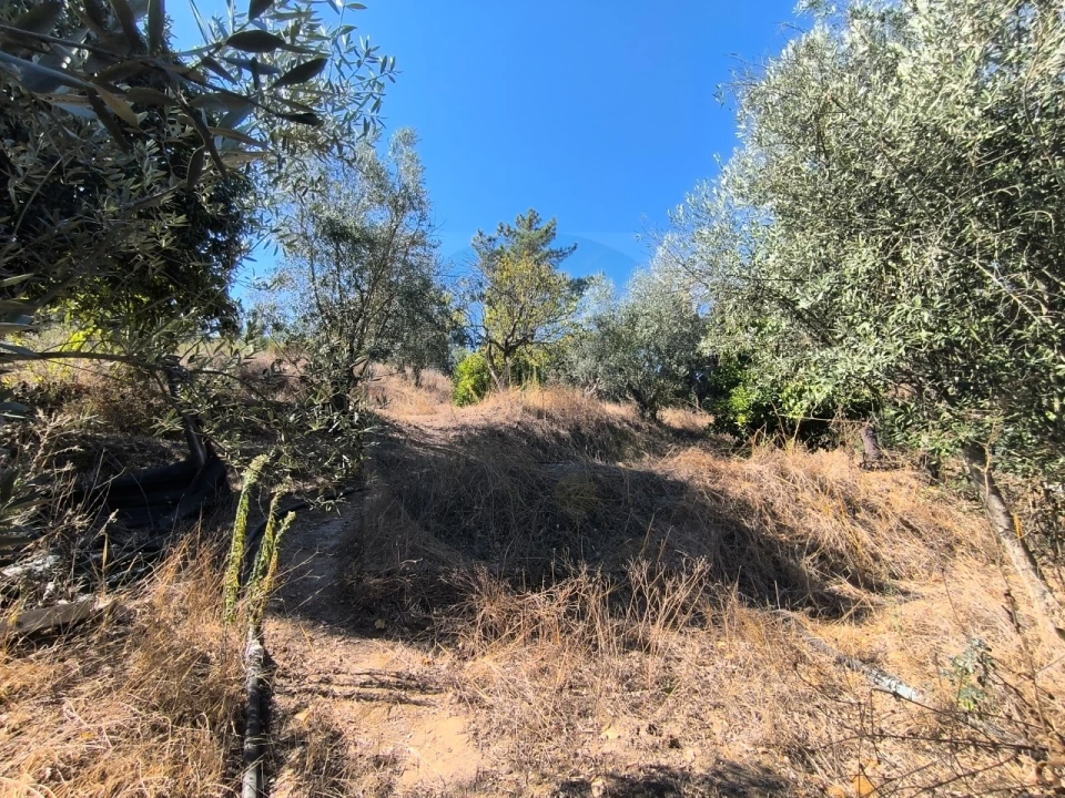 Moradia T2 para Venda em Bemposta Foto 21