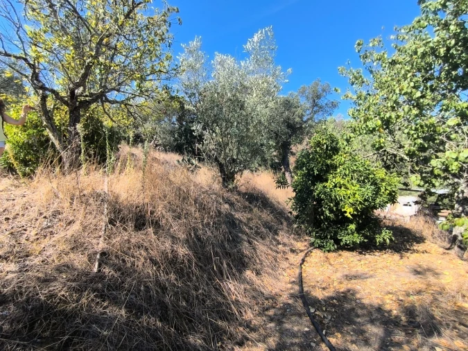 Moradia T2 para Venda em Bemposta Foto 23