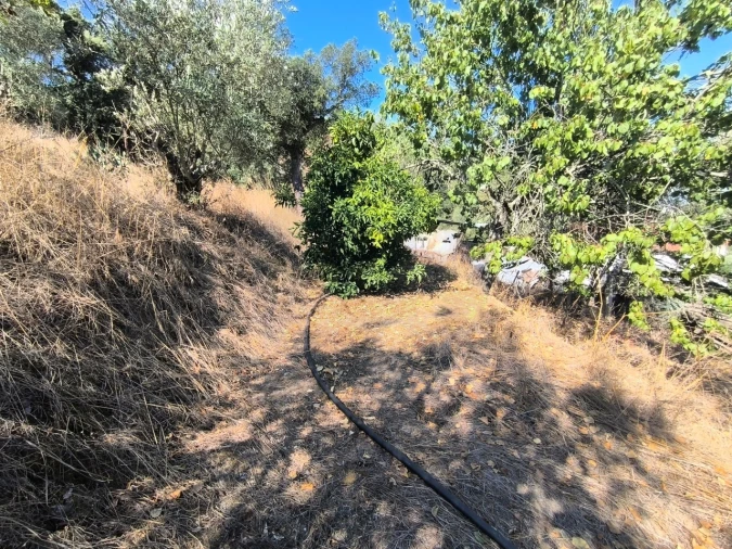 Moradia T2 para Venda em Bemposta Foto 24