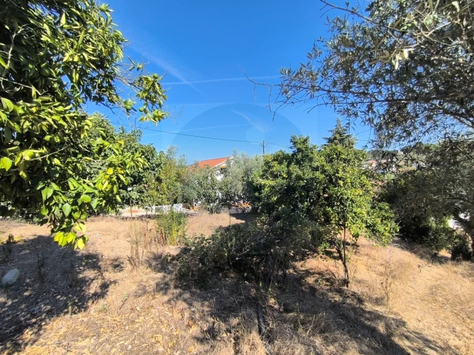 Moradia T2 para Venda em Bemposta Foto 27