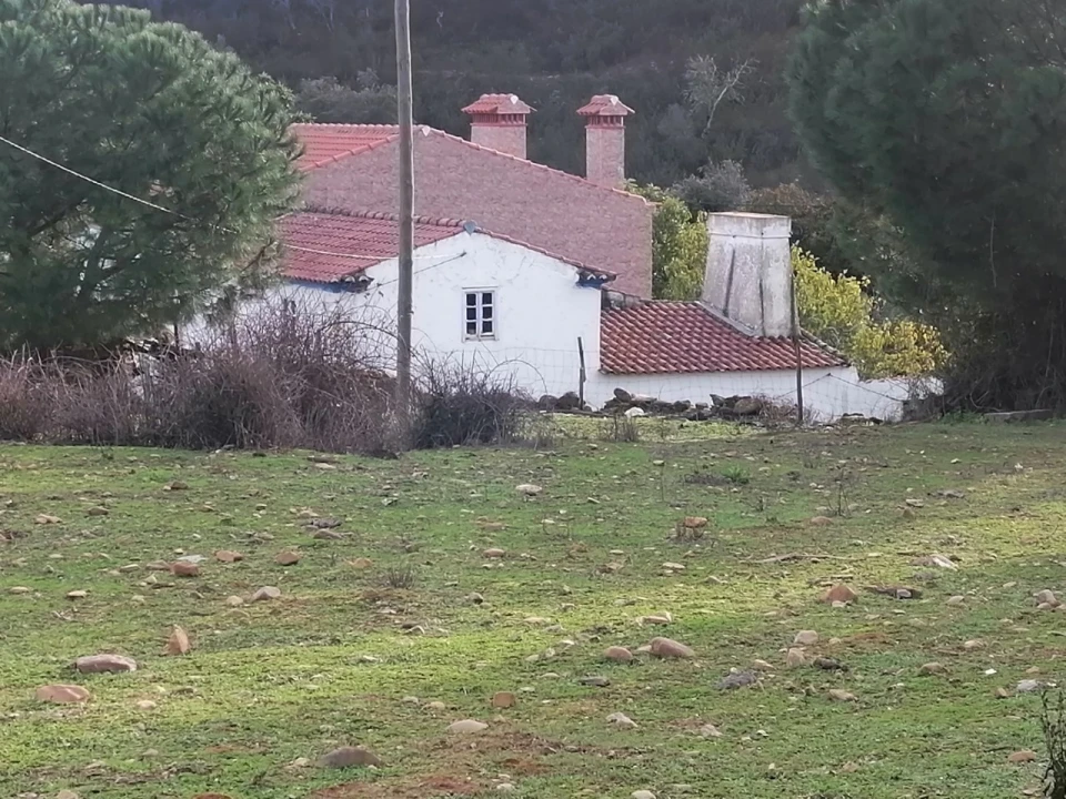 Quinta T3 para Venda em Alegrete Foto 3