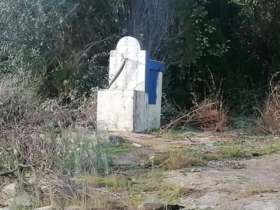 Quinta T3 para Venda em Alegrete Foto 10