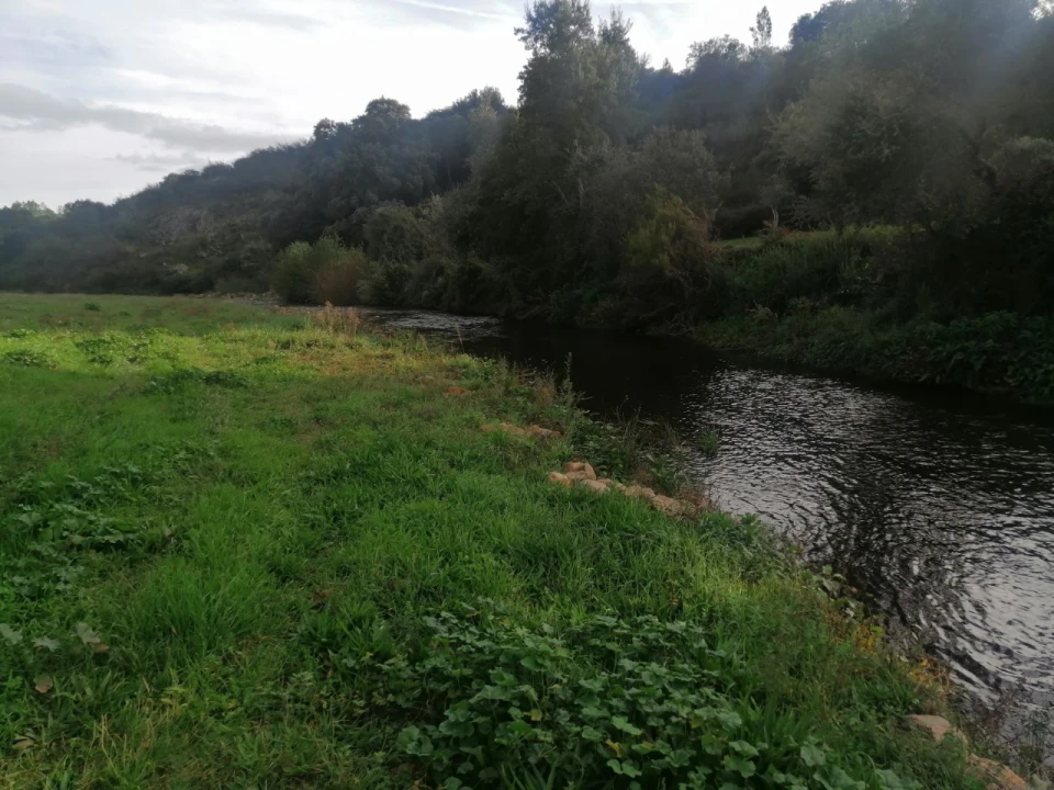 Quinta T3 para Venda em Alegrete Foto 28