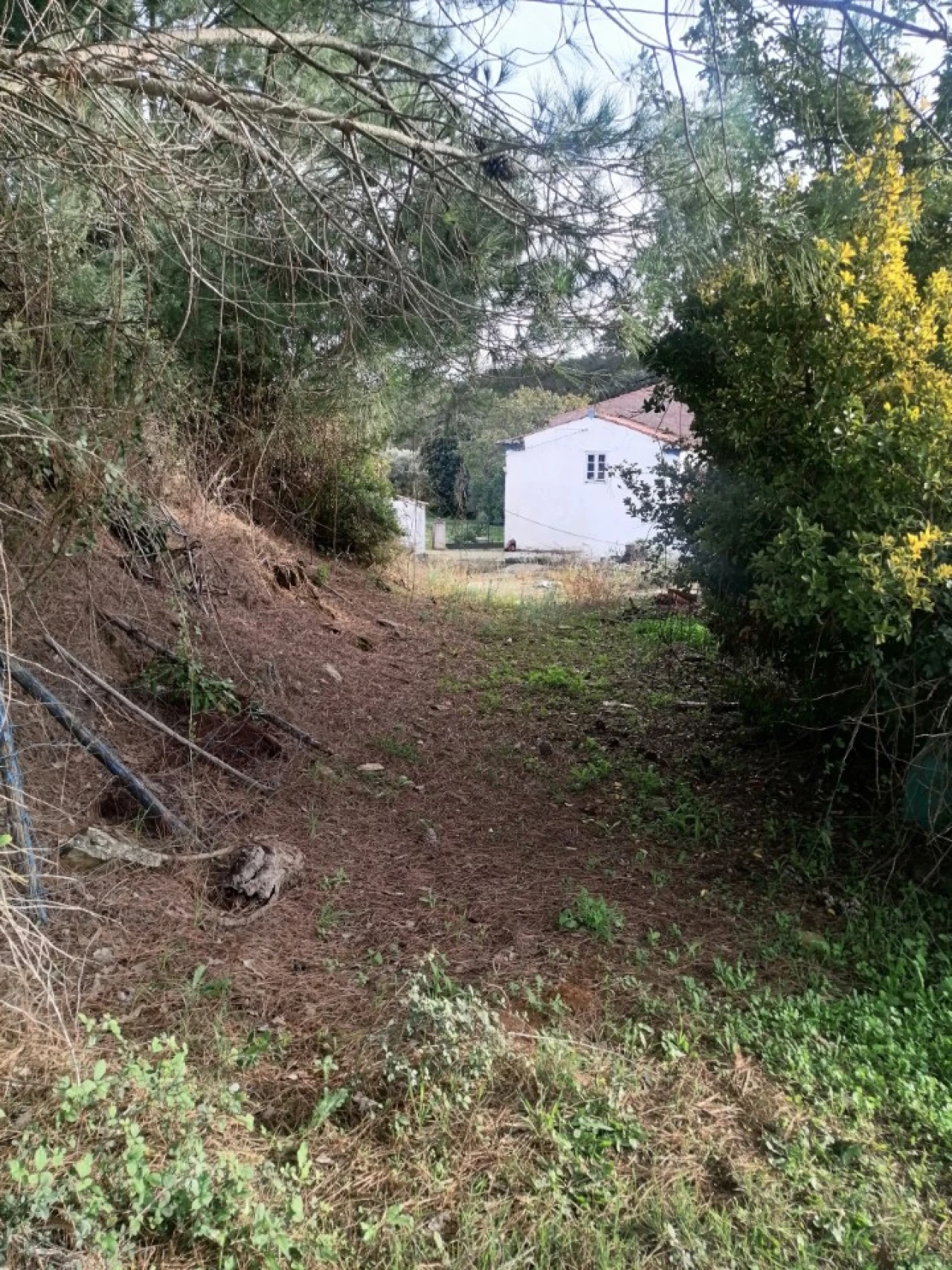 Quinta T3 para Venda em Alegrete Foto 31