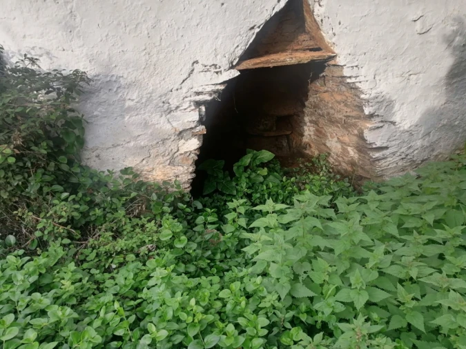 Quinta T3 para Venda em Alegrete Foto 5