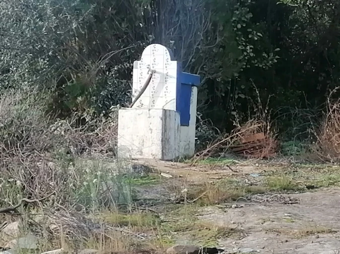 Quinta T3 para Venda em Alegrete Foto 10