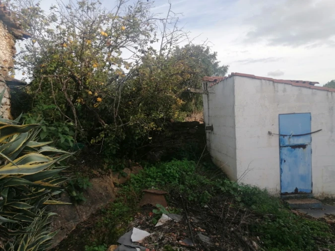 Quinta T3 para Venda em Alegrete Foto 11