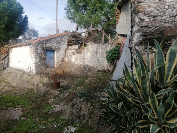 Quinta T3 para Venda em Alegrete Foto 13