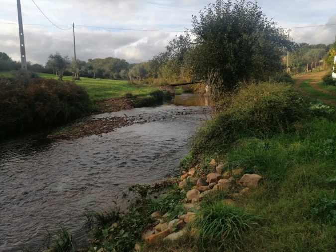 Quinta T3 para Venda em Alegrete Foto 29