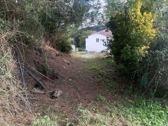 Quinta T3 para Venda em Alegrete Foto 30