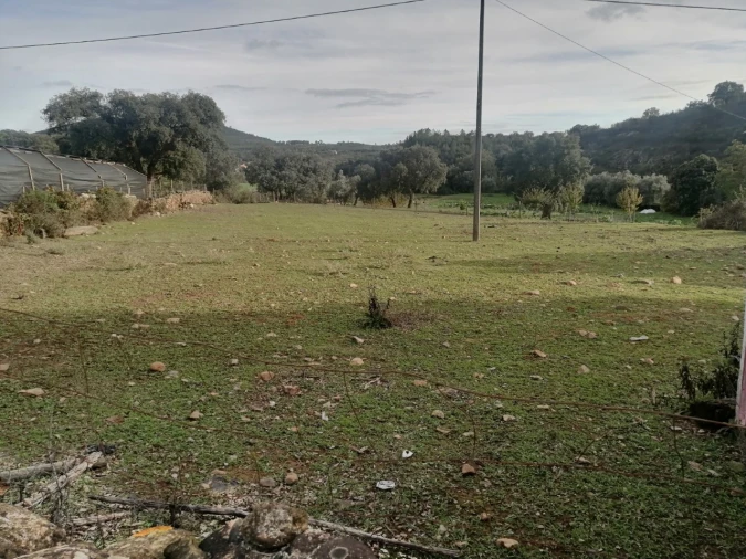 Quinta T3 para Venda em Alegrete Foto 32