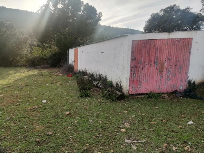 Quinta T3 para Venda em Alegrete Foto 34