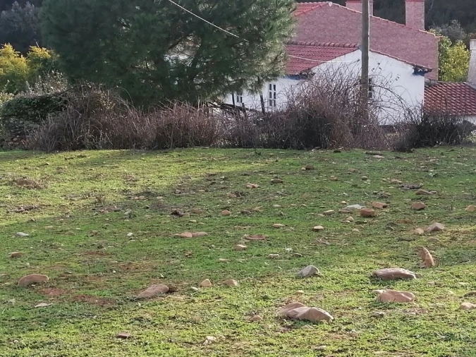 Quinta T3 para Venda em Alegrete Foto 35