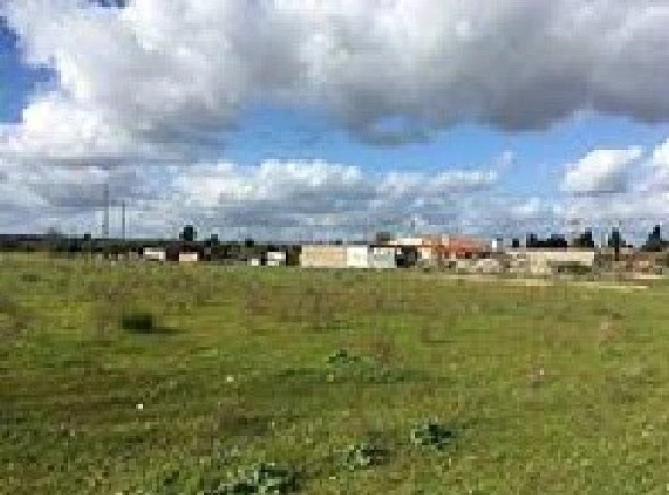 Terreno para Venda em Ponte de Sor, Tramaga e Vale de Açor Foto 4