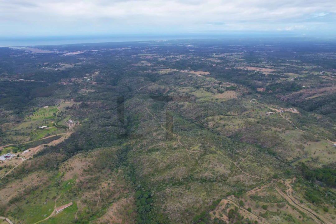 Terreno para Venda em Melides Foto 8