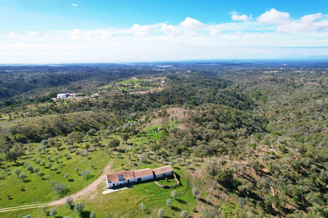 Terreno para Venda em Melides Foto 23