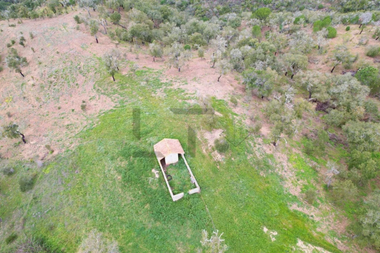 Terreno para Venda em Melides Foto 5
