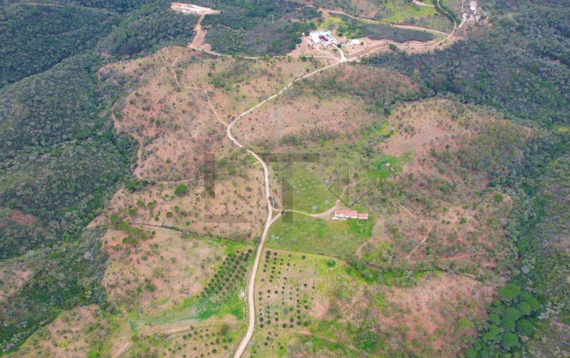 Terreno para Venda em Melides Foto 7