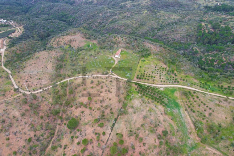 Terreno para Venda em Melides Foto 12