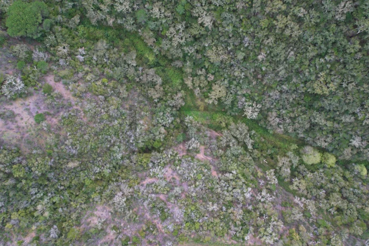 Terreno para Venda em Melides Foto 13