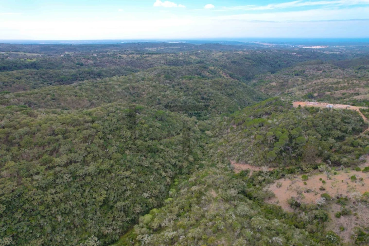 Terreno para Venda em Melides Foto 16