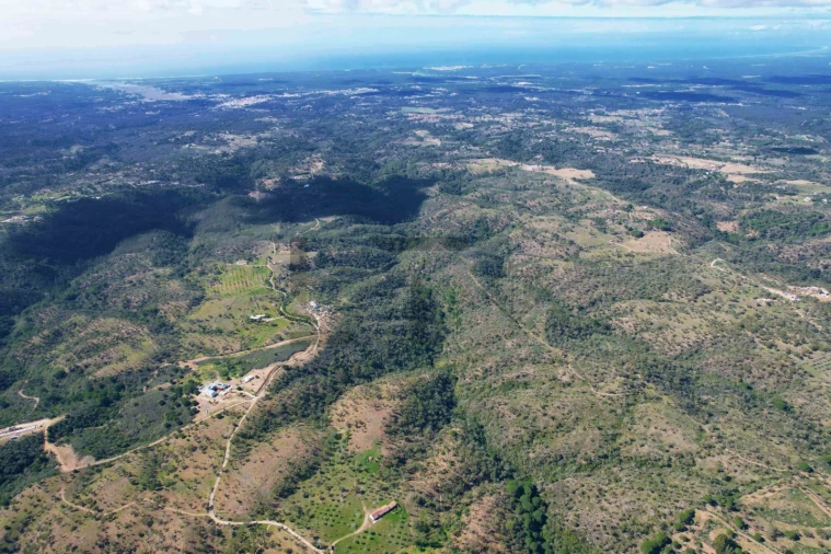 Terreno para Venda em Melides Foto 27